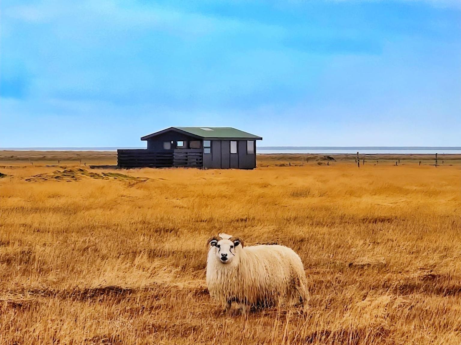 Green Farm Stay With Private Hot Tub Хвольсведлюр Екстер'єр фото